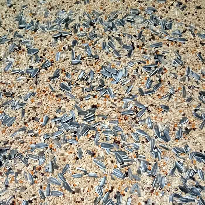 Cockatiel, Lovebird Seed Mix