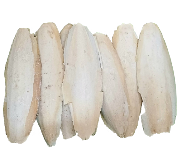 কাটলবোন (Cuttlebone)